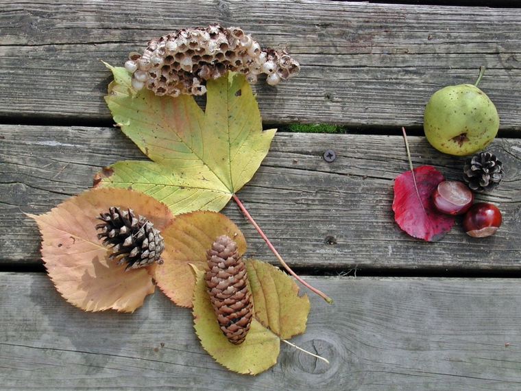 automne artisanat feuilles-pins