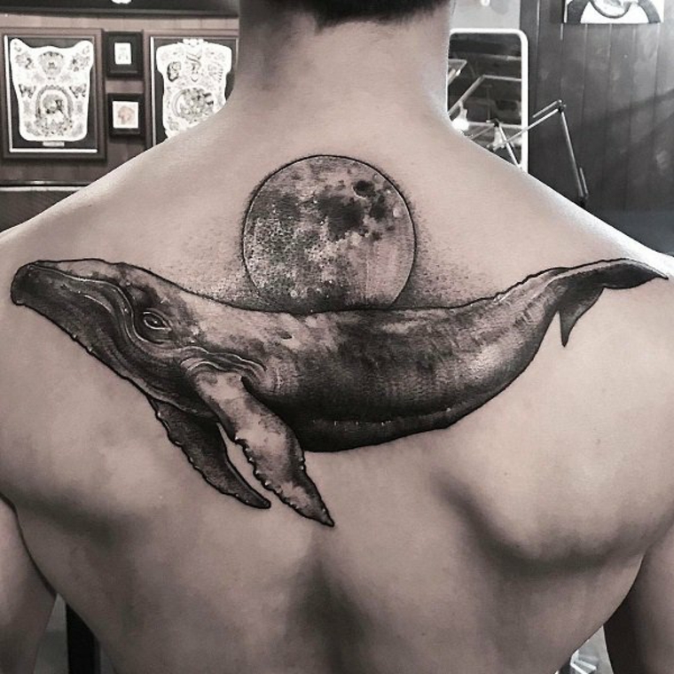 baleine et lune