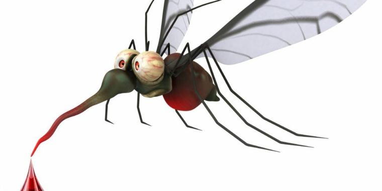 les moustiques raisons-morsures-les prévenir