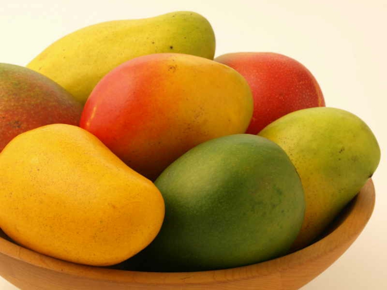 prestations de mangue
