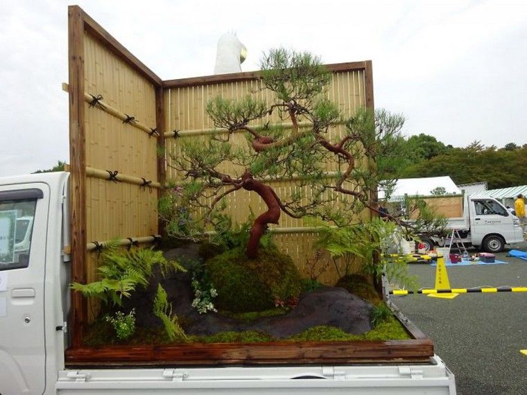 mini-jardins-idées-japonaises-bonsaï