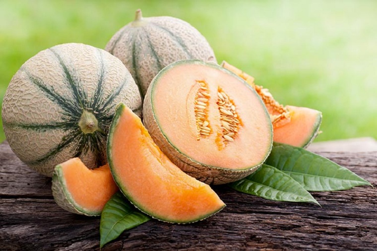 période-de-lactation-nourriture-fruits-melon-cantaloup